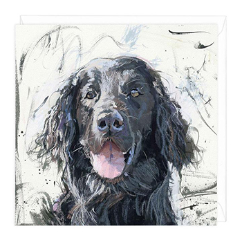 Card Flat Coat Retriever Dog